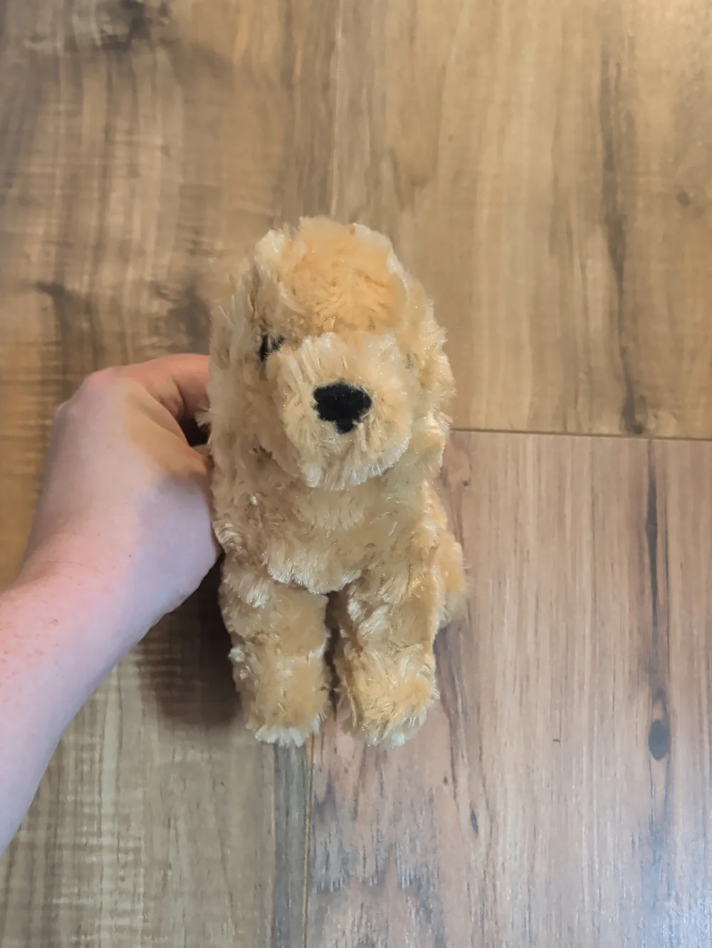 Douglas Thatcher Golden Retriever Dog Plush 7 Inch